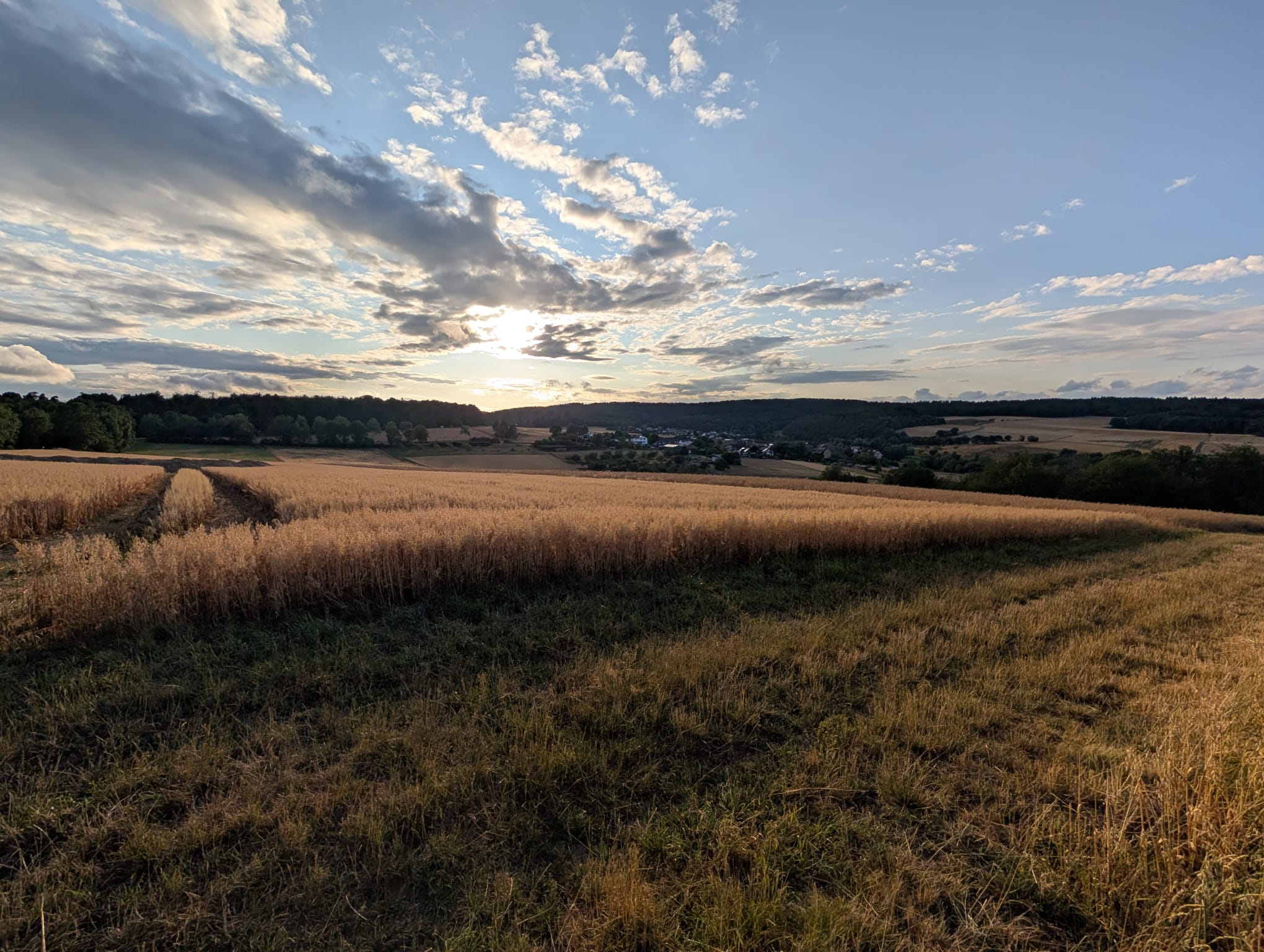 ausblick